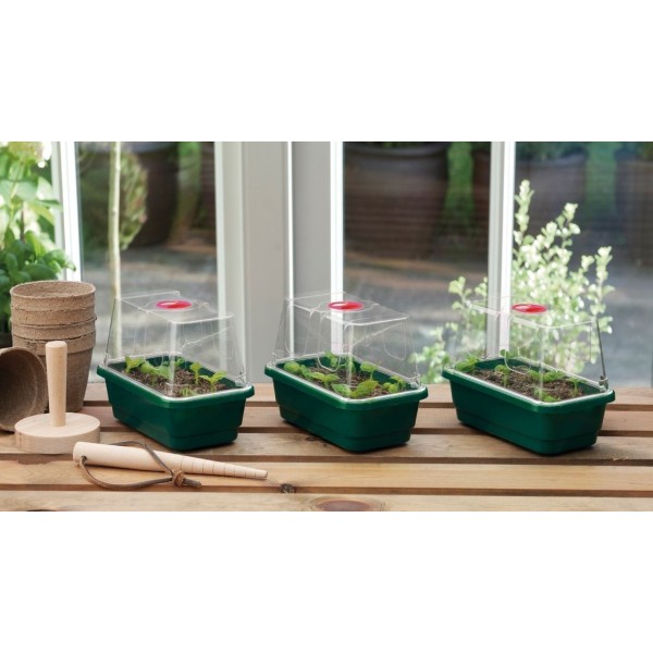 Lot de 3 mini serres propagateur High Dome