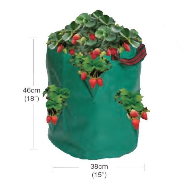 Sac de fraises/herbes