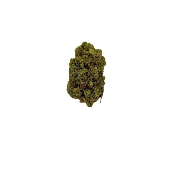 Fleur de CBD - ORANGE BUD