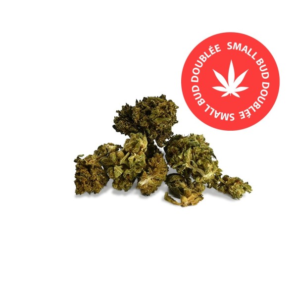 Fleur de CBD - SMALL BUD