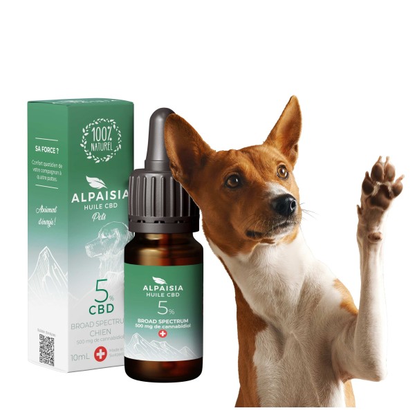 Huile CBD 5% broad spectrum chien | ALPAISIA