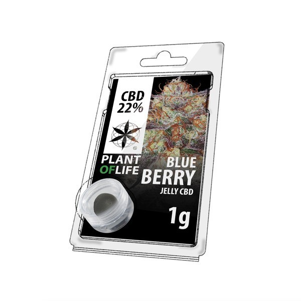 Résine CBD Blueberry | PLANT OF LIFE