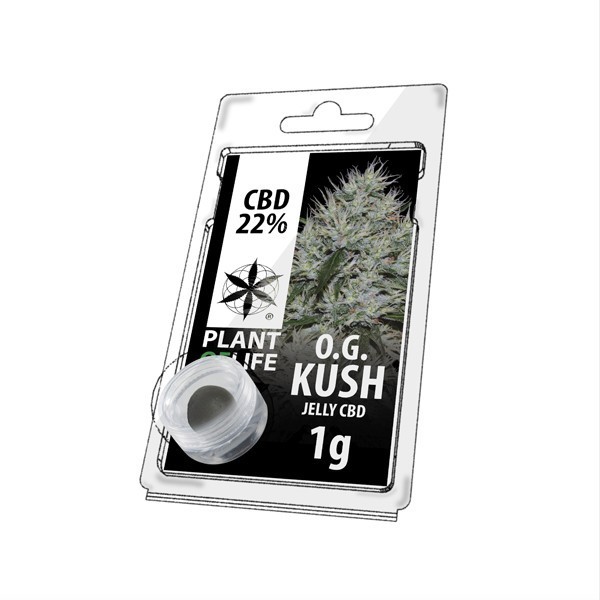 Résine CBD OG Kush | PLANT OF LIFE